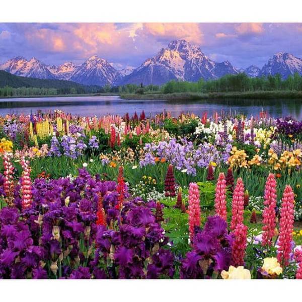 Flowers and Mountains Landscape - DIY Diamond  Painting