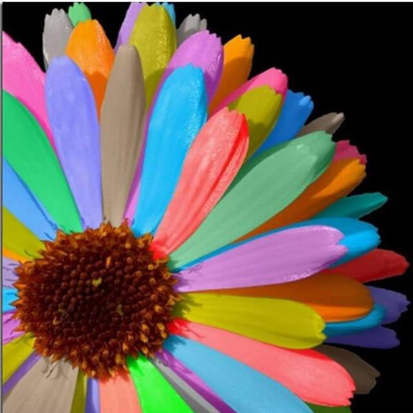Rainbow Flower - DIY Diamond  Painting