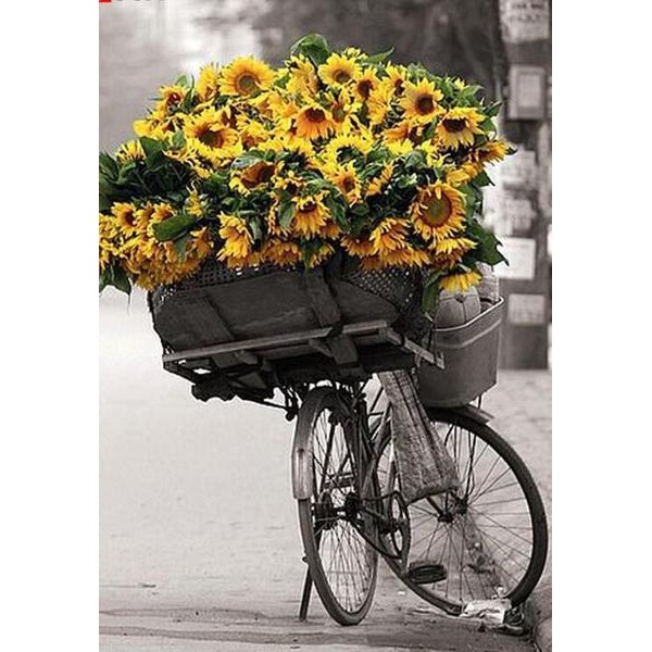 Sunflowers in a Bicycle - DIY Diamond Painting