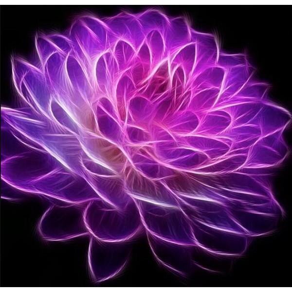 Purple Neon Flower - DIY Diamond Painting