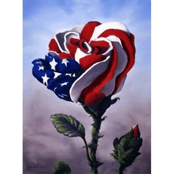 USA flag rose - DIY Diamond Painting