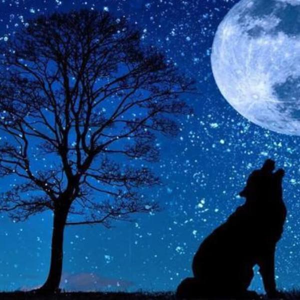 Howling Wolf Under the Moon - DIY Diamond Painting
