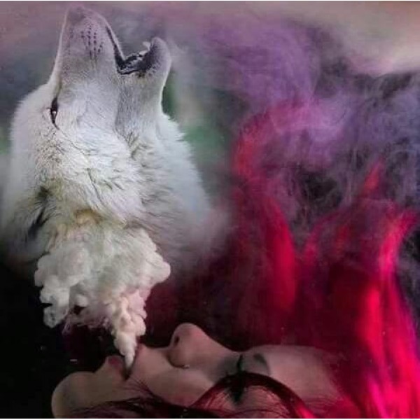 Smoking Wolf - DIY Diamond Painting