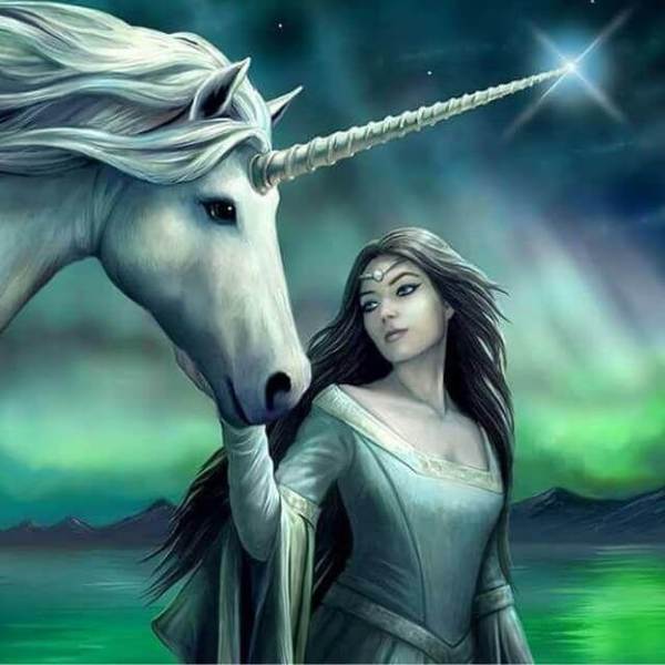 Unicorn and a lady - DIY Diamond Painting
