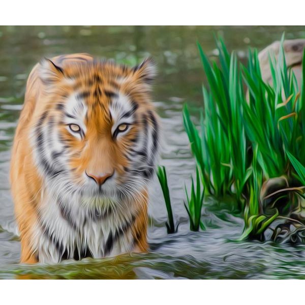 Tiger in the Lake - DIY Diamond Painting