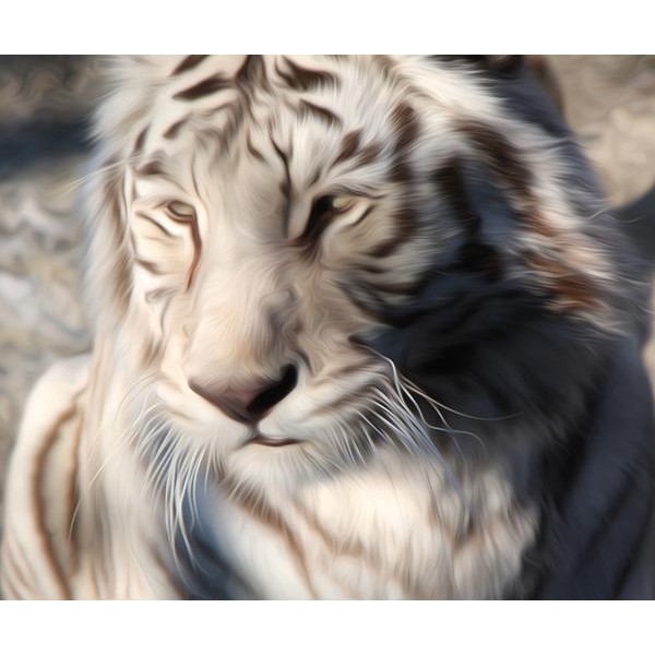 White Tiger - DIY Diamond Painting