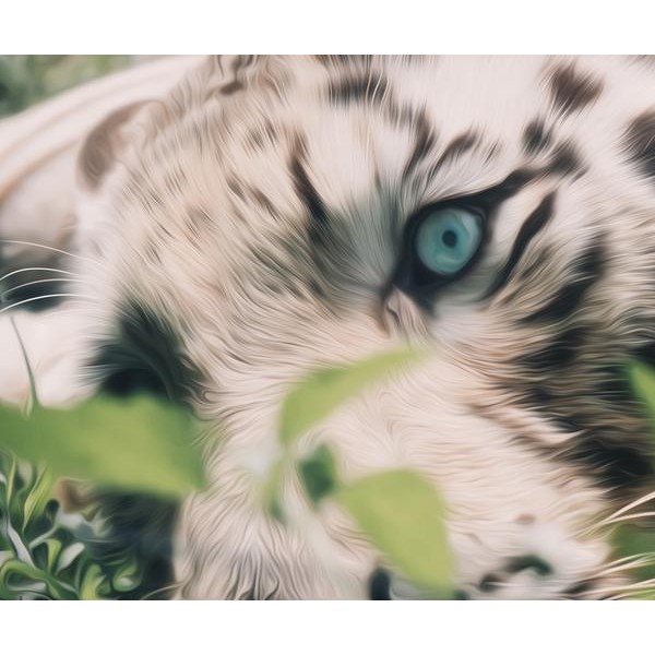 White Tiger with a Blue Eyes - DIY Diamond Painting