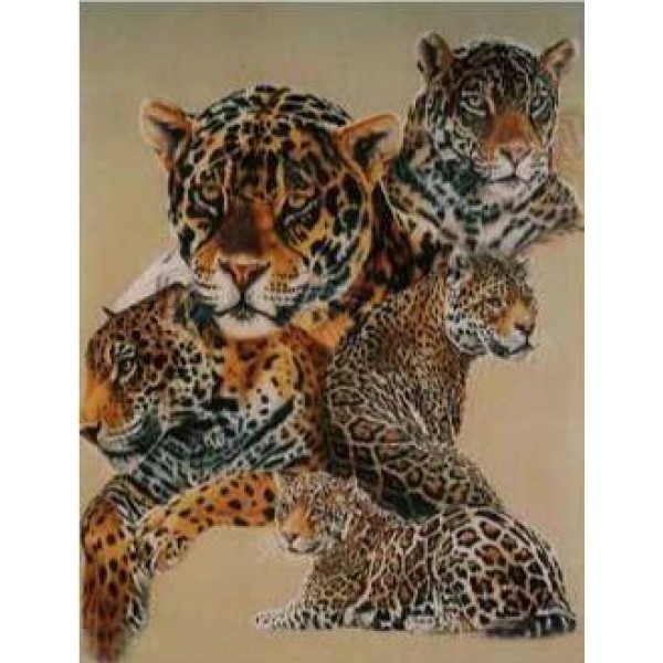 Tigers and Cheetah - DIY Diamond  Painting