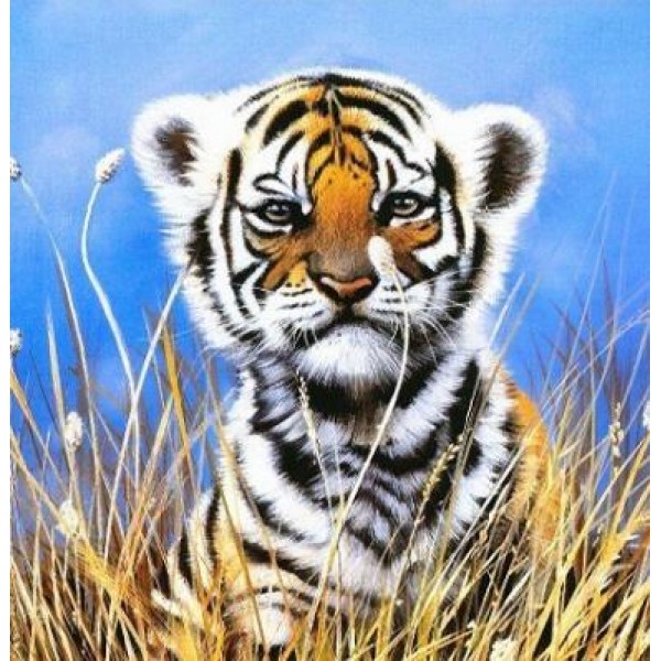 Wild Baby Tiger - DIY Diamond Painting