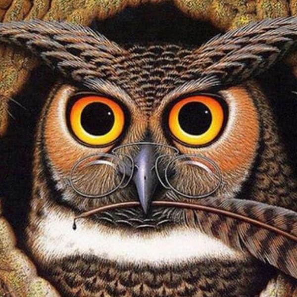 Genius Owl - DIY Diamond Painting
