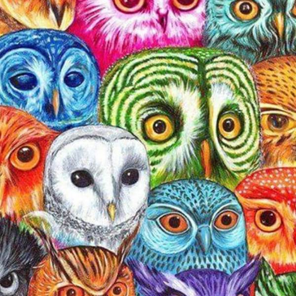 Different Faces of Owls - DIY Diamond Painting