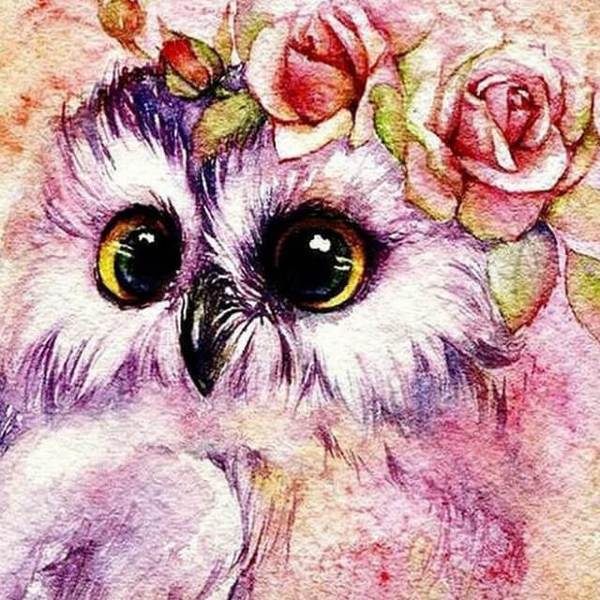 Flowery Owl - DIY Diamond Painting