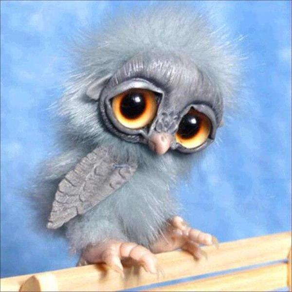 Baby Owl - DIY Diamond Painting