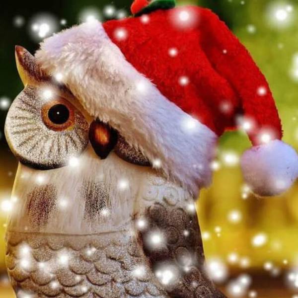 Christmas Owl - DIY Diamond Painting