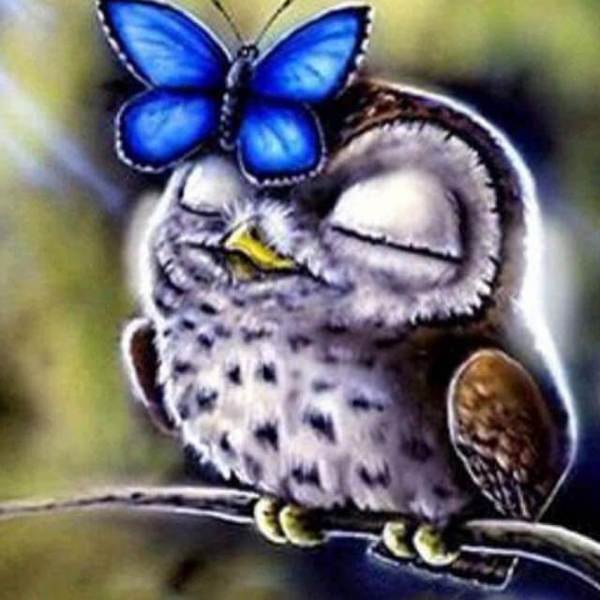 Relaxed Owl - DIY Diamond Painting