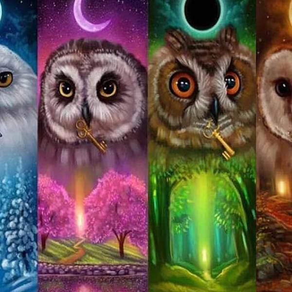 Four Season Owls - DIY Diamond  Painting