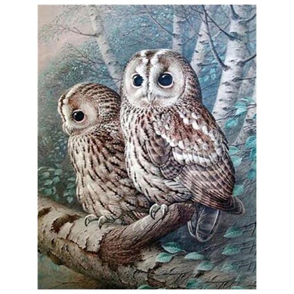 Two Snow Owl - DIY Diamond Painting