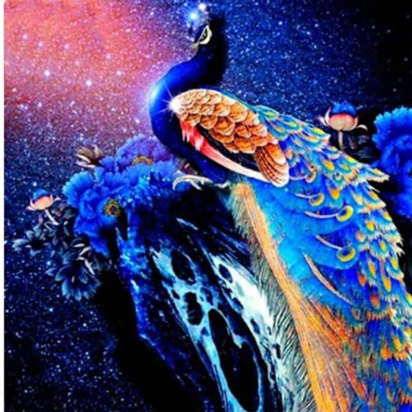 Peacock on top - DIY Diamond Painting