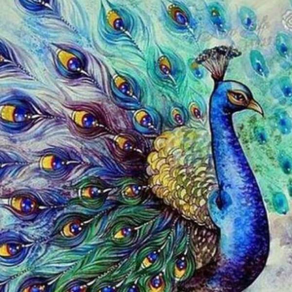 Classic Peacock - DIY Diamond Painting