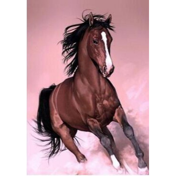 Running Horse with a Pink Powder - DIY Diamond Painting