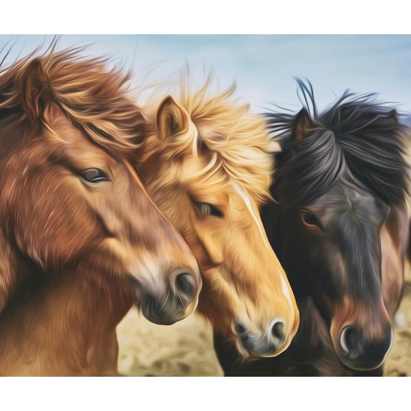 Horse Squad - DIY Diamond Painting