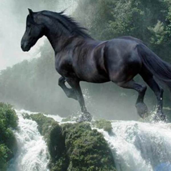 Black Horse in Waterfalls - DIY Diamond Painting