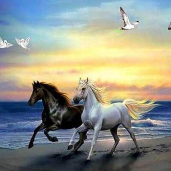 Brown and White Horse in the Seashore - DIY Diamond Painting