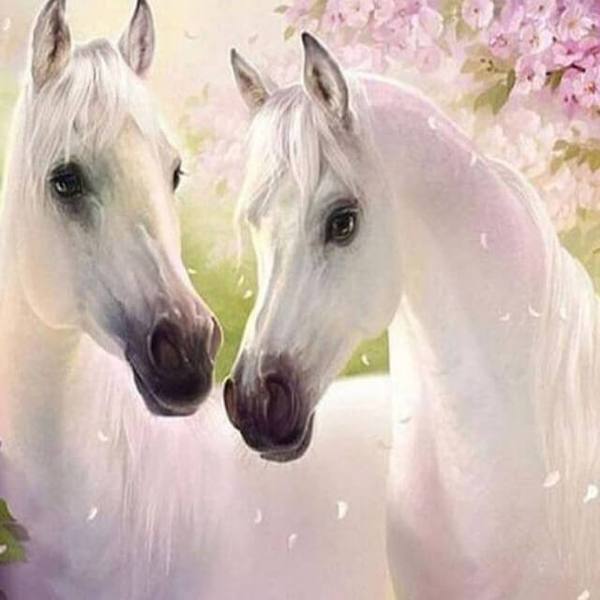 White horses - DIY Diamond  Painting