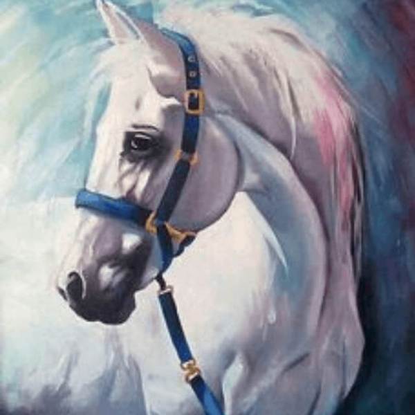 White Horse - DIY Diamond Painting
