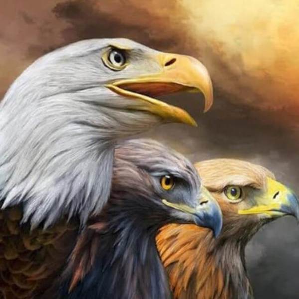 Eagles - DIY Diamond  Painting