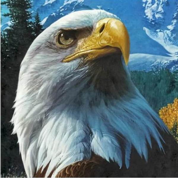 Eagle #3 - DIY Diamond  Painting