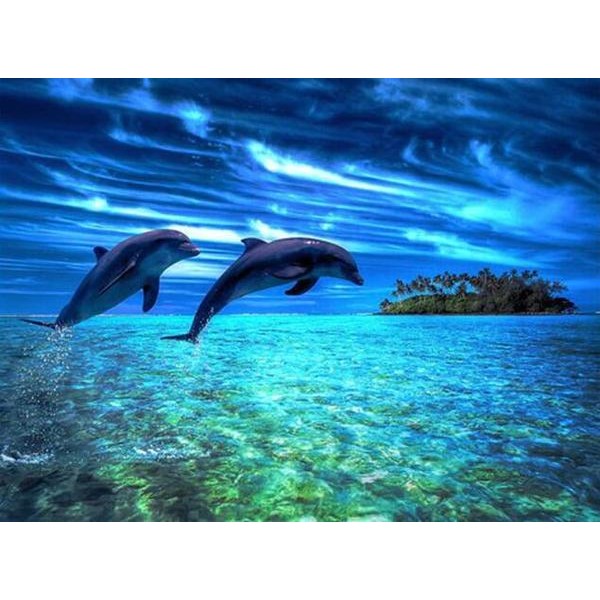 Dolphins in an Island - DIY Diamond Painting