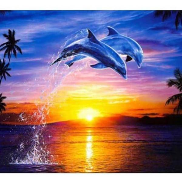 Flying Dolphins - DIY Diamond Painting