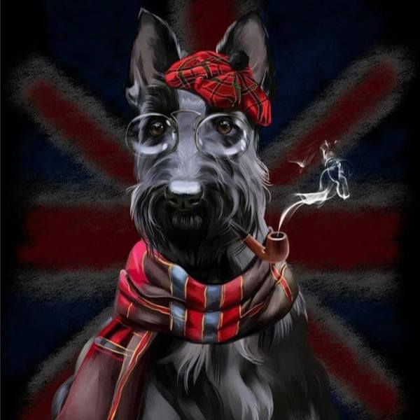 Scottish Terrier - DIY Diamond Painting