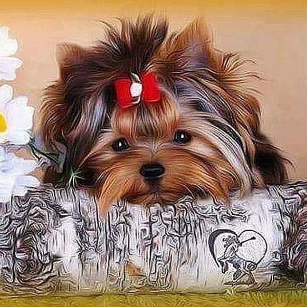 Resting Dog - DIY Diamond Painting