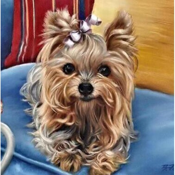 Lovely Yorkshire Terrier - DIY Diamond  Painting