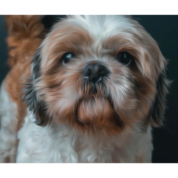 Cute Little Shih-Poo - DIY Diamond Painting