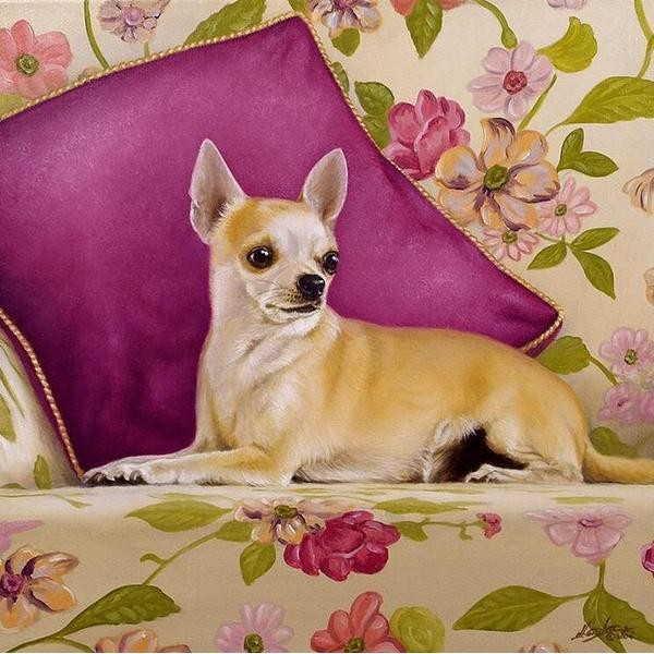 Chihuahua in a Couch - DIY Diamond Painting