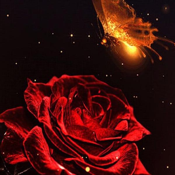 Glowing Butterfly and Rose - DIY Diamond Painting