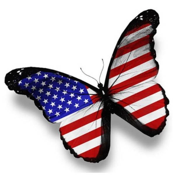 US flag butterfly - DIY Diamond Painting