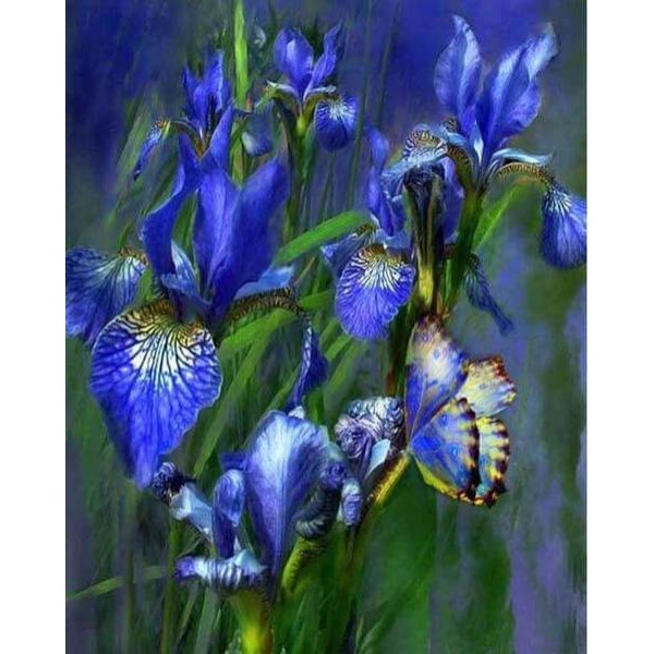 Glowing Iris flowers #2 - DIY Diamond Painting