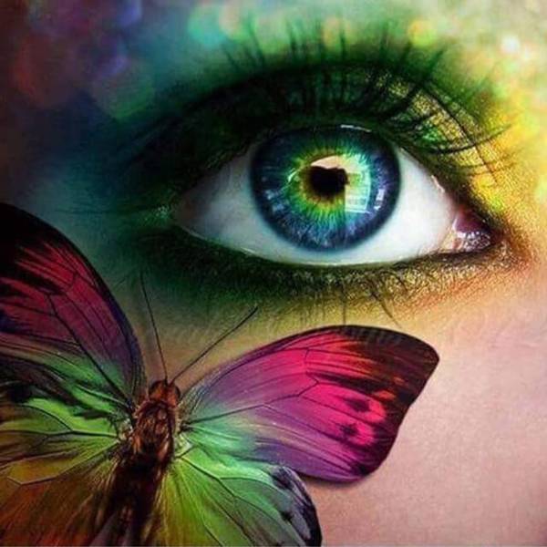 Butterfly and Eye - DIY Diamond  Painting