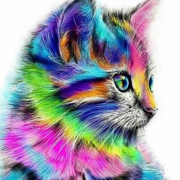 Colored Kitten - DIY Diamond Painting