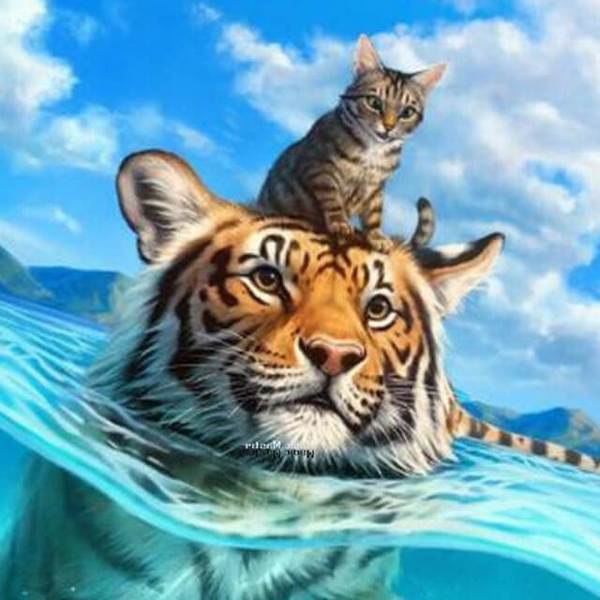 Cat and Tiger Swimming - DIY Diamond Painting