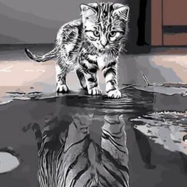 Cat with Tiger Reflection - DIY Diamond Painting