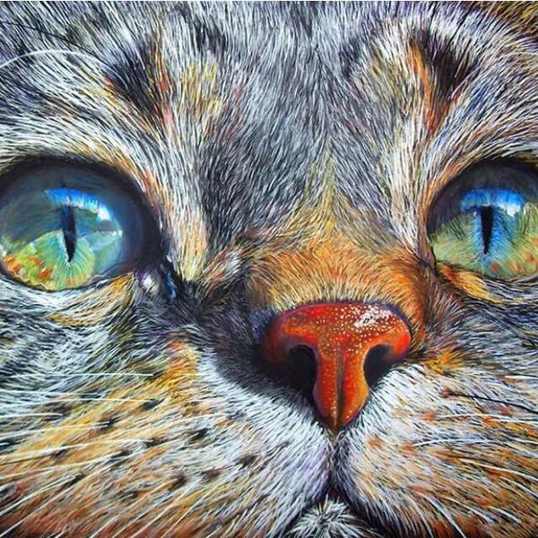 Cat Face - DIY Diamond Painting