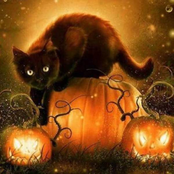 Halloween Cat - DIY Diamond Painting