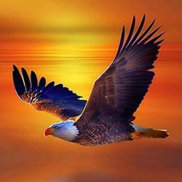 Fast Flying Eagle - DIY Diamond Painting