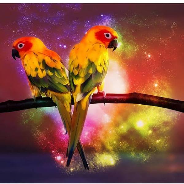 Lovely Parrots - DIY Diamond Painting