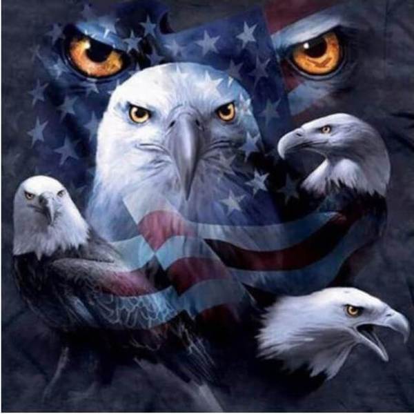 Fighting Eagle - DIY Diamond Painting